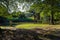 A gorgeous summer landscape in the park at sunset with lush green trees, grass and plants and a silky green lake with blue sky