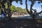 A gorgeous summer landscape at Seabridge Park with people playing on the swings on the playground in the park