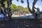 A gorgeous summer landscape at Seabridge Park with people playing on the swings on the playground in the park