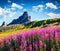 Gorgeous summer view of Ra Gusela peak, Averau - Nuvolau group. Splendit outdoor scene from the pot of Giau pass. Picturesque summ