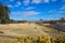 A gorgeous sunny day at Mud Island park with yellow winter grass, a colorful Memphis sign, bare winter trees, and buildings