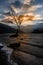 Gorgeous sunrise and view of the Lone Tree at LLyn Pardarn in Llamberis in Snowdonia National Park