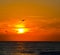 Gorgeous Sunset at Indian Rocks Beach on the Gulf of Mexico in Florida.