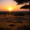 gorgeous sunset with sunbeams at a national park in Africa made with Generative AI