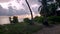 Gorgeous tropical landscape evening view. Tropical trees and plants on pale sky.