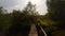 Gorgeous view on beautiful lake natural landscape through trees on beautiful summer day. Gimbal shot