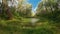 Gorgeous view on beautiful lake natural landscape through trees on beautiful summer day. Gimbal shot