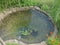 Gorgeous view of exterior of a private garden.Landscape design. Decorative pool with rocks and green plants.