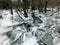 Gorgeous view of flooded frozen outdoor park covered with shiny beautiful grey ice