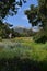 Gorgeous View of Landscape at Santa Barbara Botanical Garden