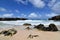 Gorgeous View of a Remote Secluded Beach in Aruba