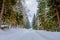 Gorgeous view of winter road covered with snow and ice in the forest of Norway