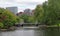 Gorgeous views of the pond at the Boston Public Garden