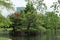 Gorgeous views of the pond at the Boston Public Garden