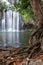 Gorgeous waterfall in Costa Rica