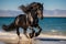 Gorgeous wild black horse with a spectacular mane running on the beach. AI generated.