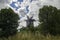 Gorgeous windmill among the trees