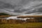 Gorgeous winter landscape of the marsh at Black Water National Wildlife Refuge.