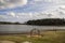 a gorgeous winter landscape at Rhodes Jordan park with a blue lake, yellow winter grass lush green trees, people walking