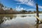 a gorgeous winter landscape at Rhodes Jordan park with a green lake, yellow winter grass lush green trees, people walking