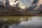 a gorgeous winter landscape at Rhodes Jordan park with a silky green lake, bare winter trees, lush green trees with blue sky