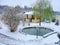 Gorgeous winter view of exterior of a private garden.Landscape design. Pond. Decorative pool with rocks and green plants.