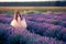 Gorgeous young girl walking along the rows of the lavender field