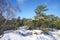 Gorges de Franchard under snow in Fontainebleau forest