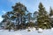 Gorges de Franchard under snow in Fontainebleau forest