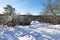 Gorges de Franchard under snow in Fontainebleau forest