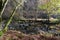 Gorges de l`Areuse, Noirague, Neuchatel, Switzerland, Europe. Beautiful romantic autumn landscape by the stream. River with mossy