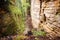 Gorges du loup or Wolfsschlucht on the Mullerthal trail near Echternach in Luxembourg, canyon with sandstone rocks