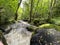 Gorges of the monne river in the green forest, Puy-de-DÃ´me, Auvergne