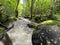 Gorges of the monne river in the green forest, Puy-de-DÃ´me, Auvergne