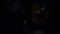 Gorgon Medusa lurking in the dark, close up