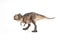 Gorgosaurus Dinosaur on white background