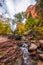 Gorgous landscape of Left Fork Trail to the Subway gorge, Zion NP