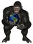 Gorilla Ape Planet Earth Isolated