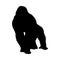 Gorilla Ape Silhouette