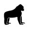 Gorilla black icon .