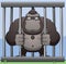 Gorilla Cage