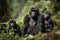 gorilla family, with mother and baby gorillas, in peaceful natural setting