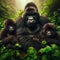 Gorilla family sit during respite, as they travel the mountain forests