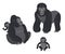 Gorilla Family Vector monkeys set.