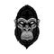 Gorilla head, ape, monkey. wild logo vector illustration, handrawn