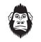 Gorilla head cartoon vector illustration for t shirt, logo, tattoo, book, cover, flyer, printing, advetisement, black and wihte