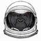Gorilla head. Vector illustration. Wild animal portrait. Astronaut animal. Vector portrait. Cosmos and Spaceman. Space