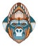 Gorilla head zentangle stylized, vector, illustration, freehand