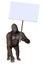 Gorilla Holding Blank Sign - includes clipping path