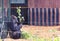 Gorilla holding a branch while sitting against a glass viewing window